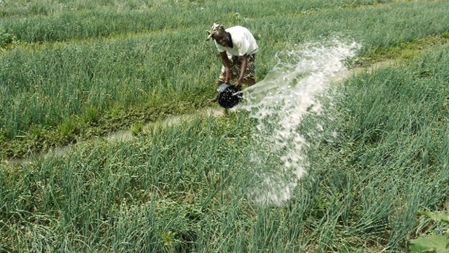  FEBEVIM-PRODEVIM-Office du Niger : Une convention de cession de 75000 ha signée