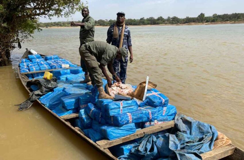  ​Mali : Plus de 500 cartons de poulets de chair avariés interceptés par la douane à Banankoro sur le fleuve